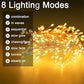 ✨✨LAST DAY SALE 49% OFF✨Copper Wire Firecracker Light String