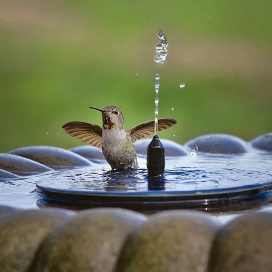 💝Kompakti aurinkokäyttöinen lintujen suihkulähdepumppu – Pidä puutarhasi elossa! 🐦️