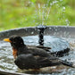 💝Kompakti aurinkokäyttöinen lintujen suihkulähdepumppu – Pidä puutarhasi elossa! 🐦️
